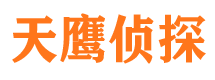 山东私家侦探公司